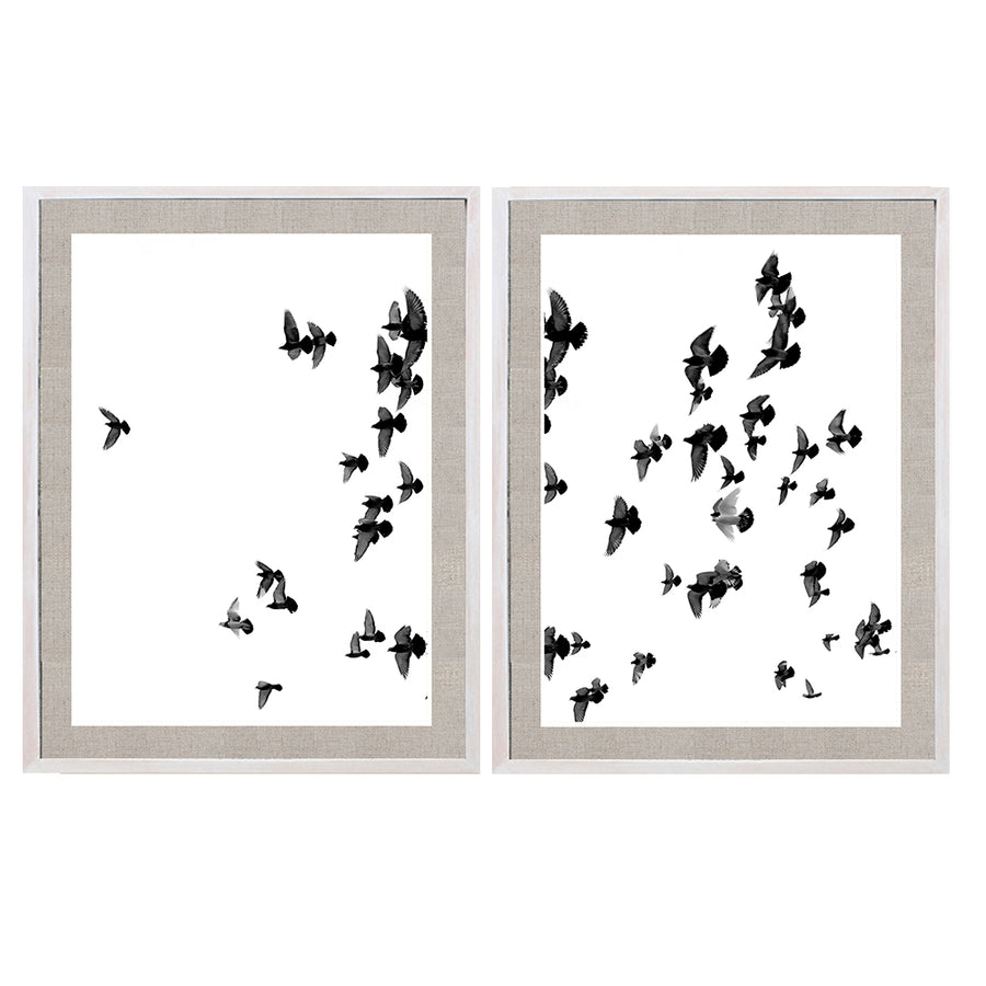 Par Cuadros Pájaros al vuelo