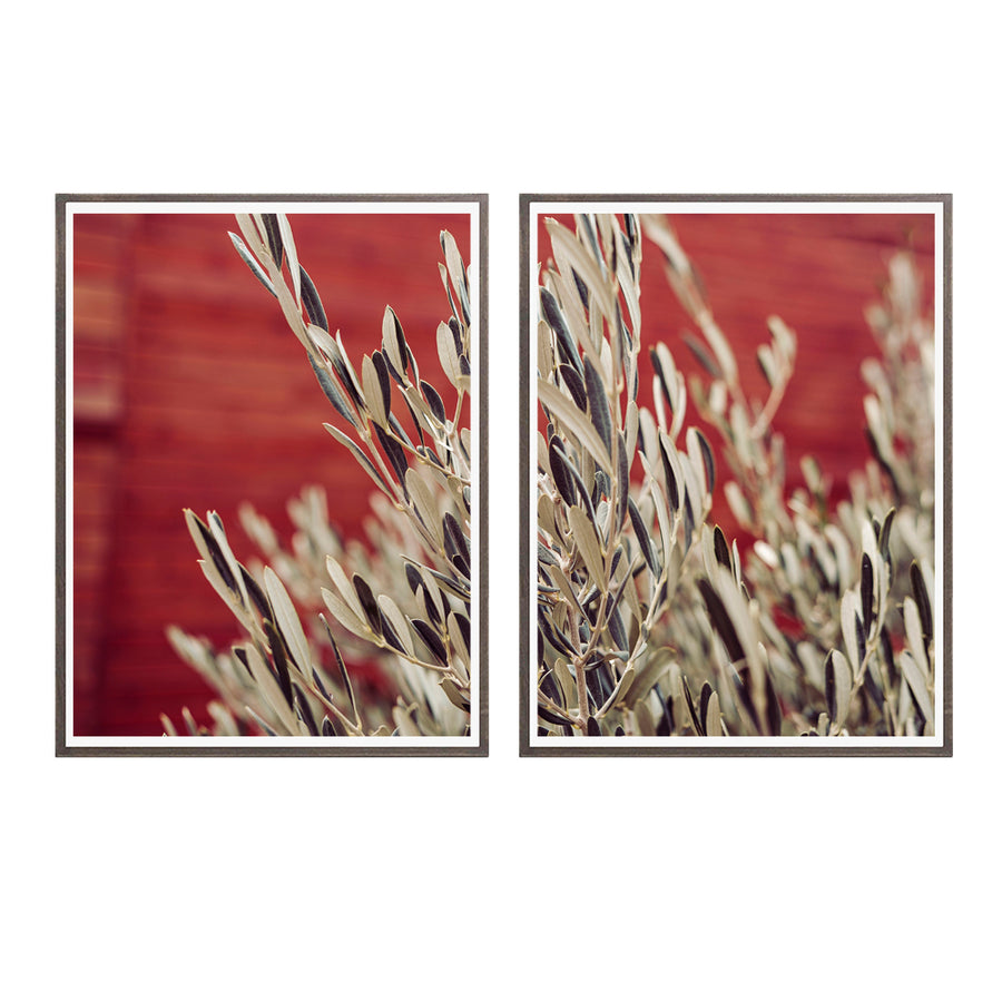 Par Cuadros Olivos en  Rojo_01