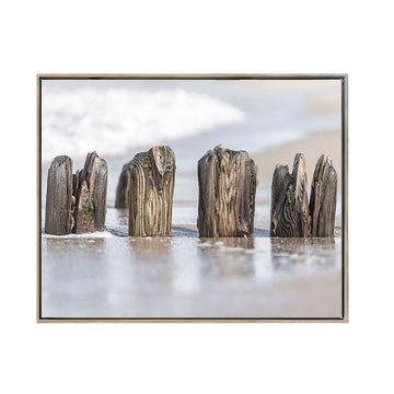 Cuadro Canvas Enmarcado Paisaje Troncos en la arena