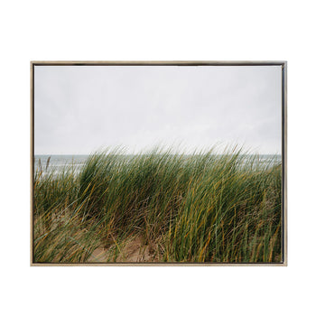 Cuadro Canvas Enmarcado Paisaje Hierbas en la arena