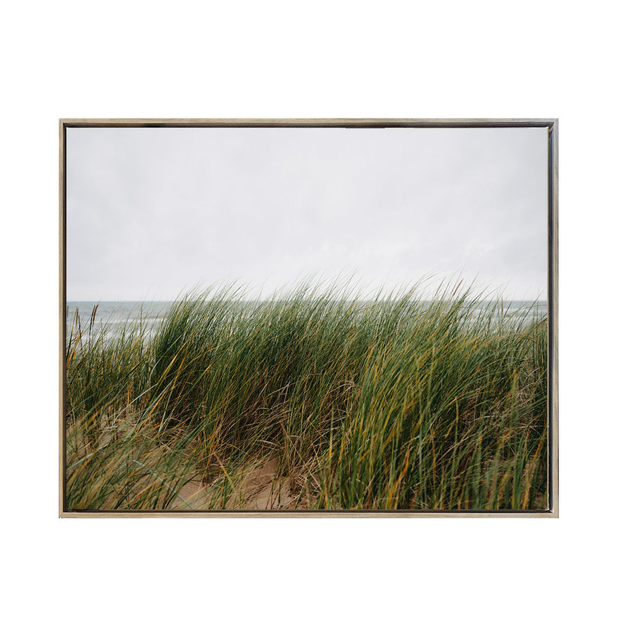 Cuadro Canvas Enmarcado Paisaje Hierbas en la arena