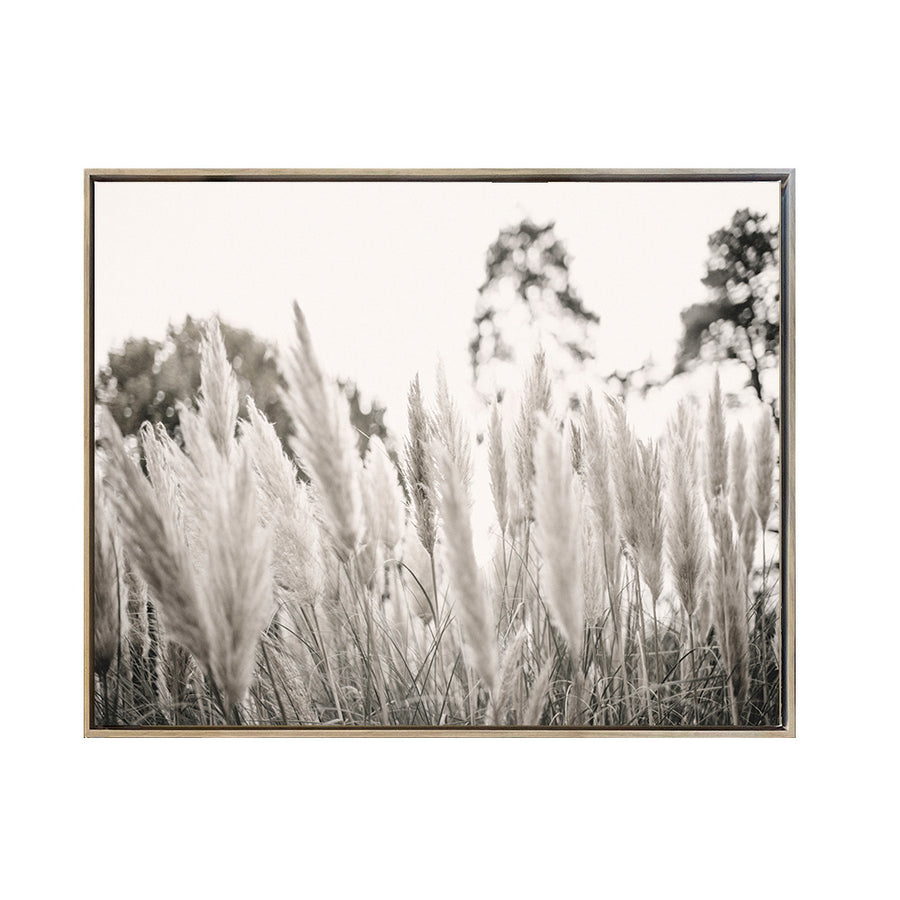 Cuadro Canvas Enmarcado Paisaje Colas de Zorro