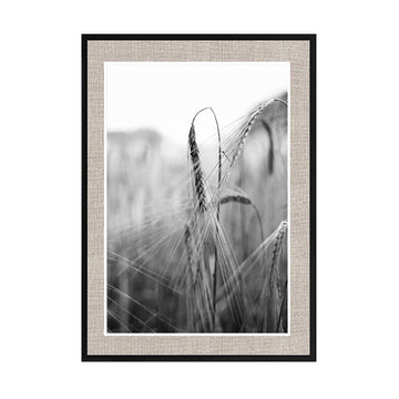 Cuadro Fotografía Botánica Contraste _01