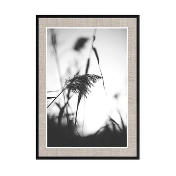 Cuadro Fotografía Botánica Contraste _02