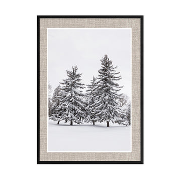 Cuadro Fotografía de Paisaje Nieve y Pinos