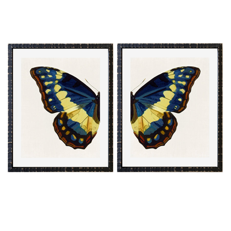 Par Cuadros Medias Mariposas