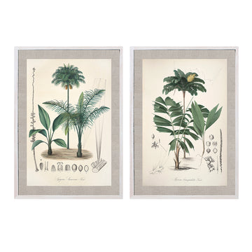 Par Cuadro Palmeras Vintage