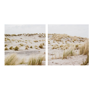 Canvas Dunas Arena