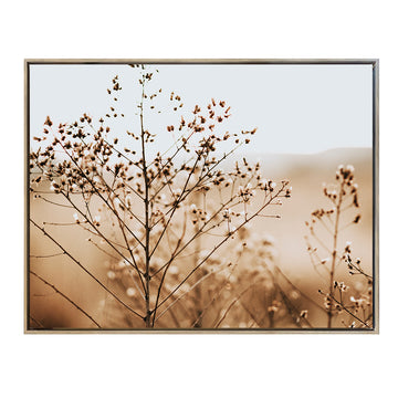 Canvas Enmarcado Fotografía N°1