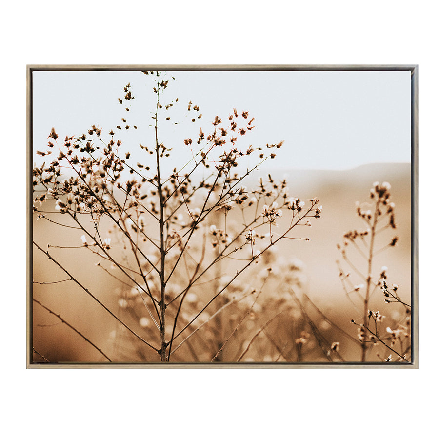 Canvas Enmarcado Fotografía N°1