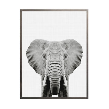 Cuadro Elefante BN