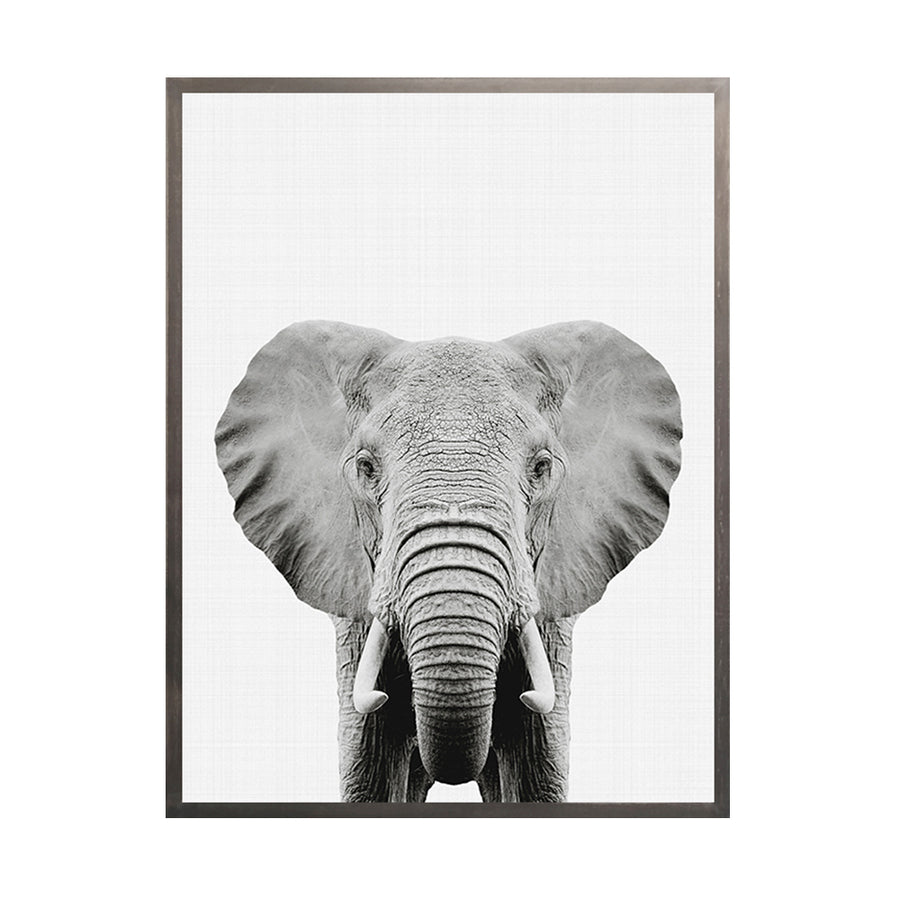 Cuadro Elefante BN