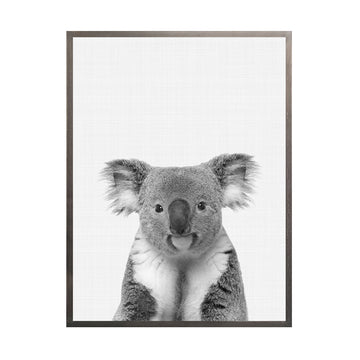 Cuadro Koala BN