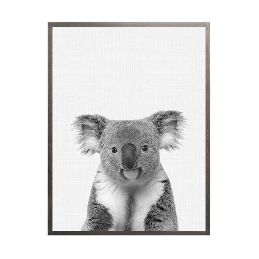 Cuadro Koala BN