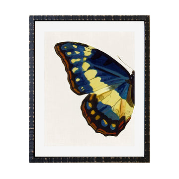 Cuadro Media Mariposa _A