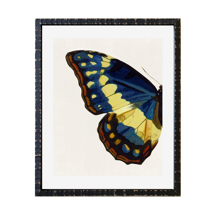 Cuadro Media Mariposa _A