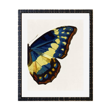 Cuadro Media Mariposa _B