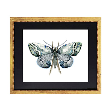 Cuadro Mariposas Acuarela Azul