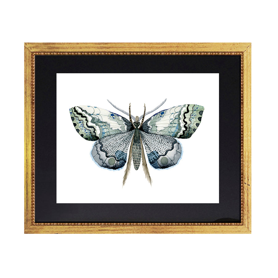 Cuadro Mariposas Acuarela Azul