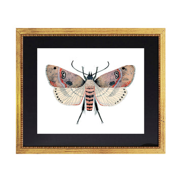 Cuadro Mariposas Acuarela Rosa