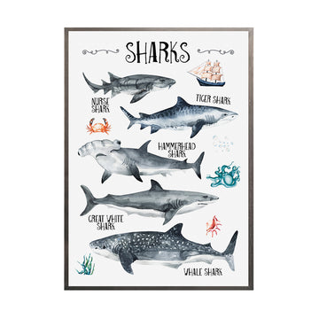 Cuadro Sharks
