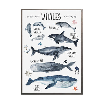 Cuadro Ballenas