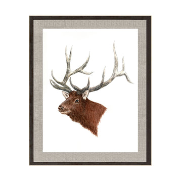 Cuadro Venado N°3