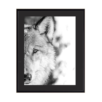 Cuadro Animales Medio Lobo