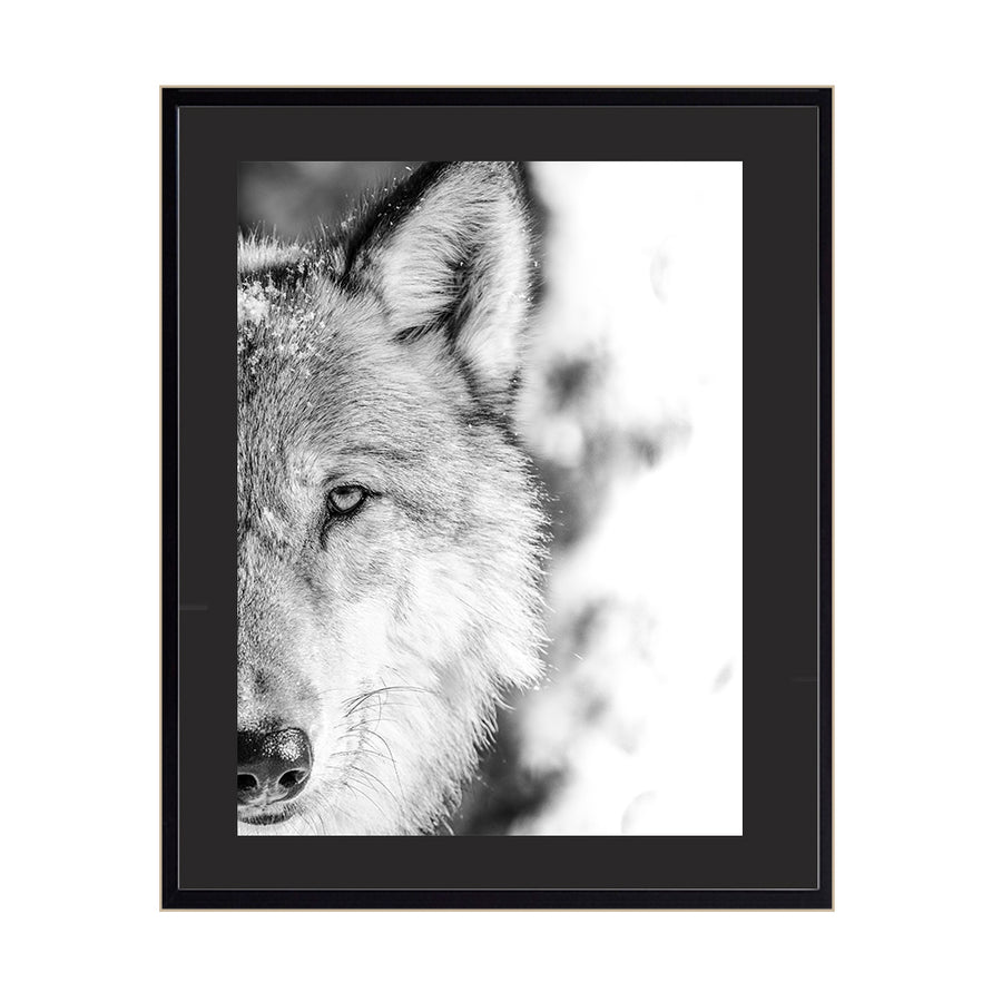 Cuadro Animales Medio Lobo