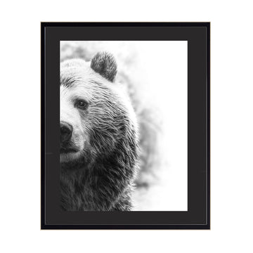 Cuadro Animales Medio Oso