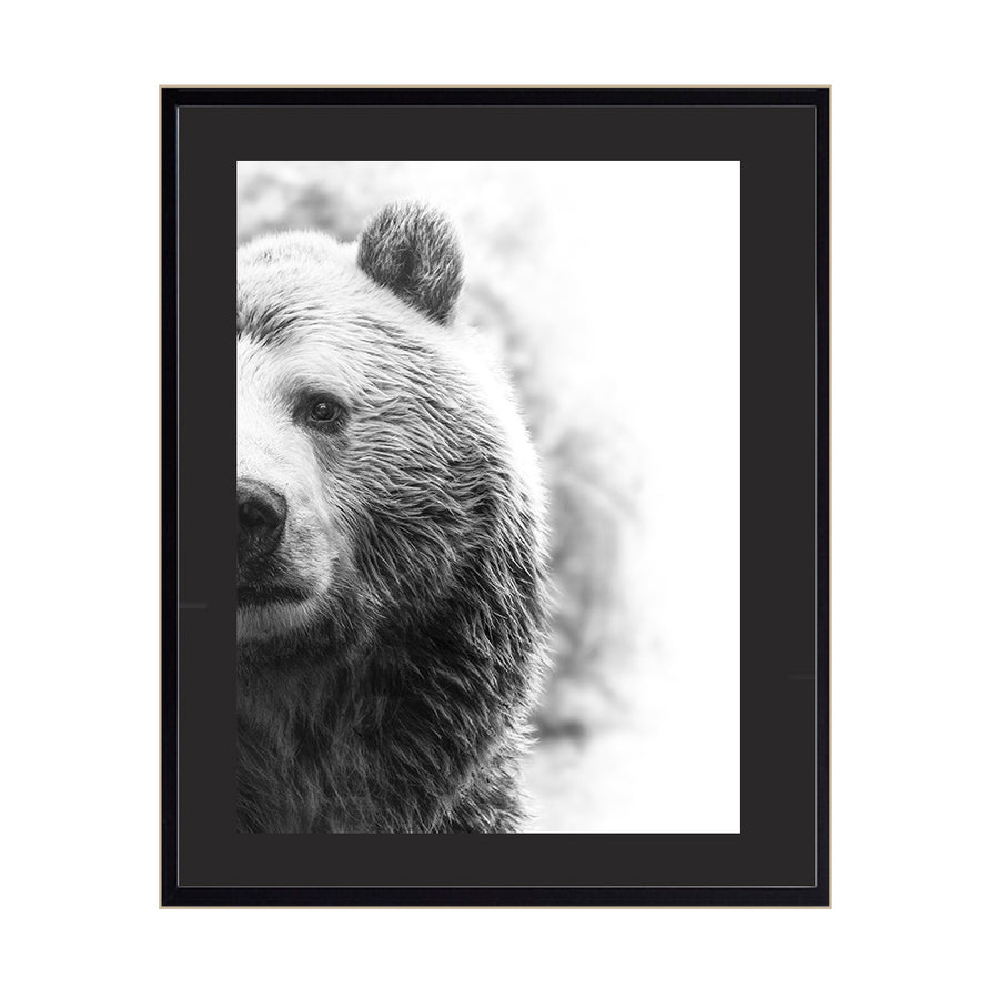 Cuadro Animales Medio Oso