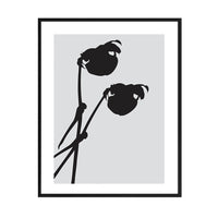 Cuadro Sombras Botánicas_A