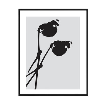 Cuadro Sombras Botánicas_A