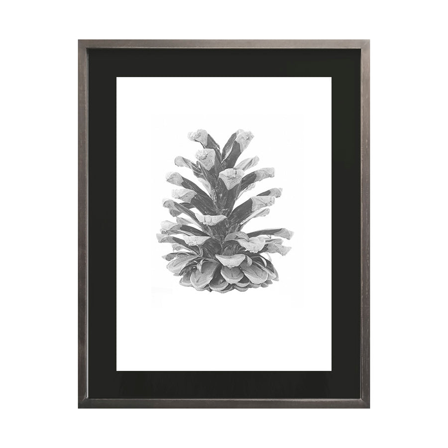 Cuadro Piña blanco y negro_C