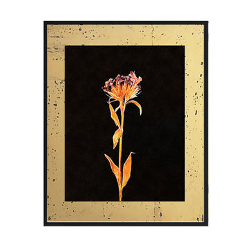 Cuadro Flores secas_A