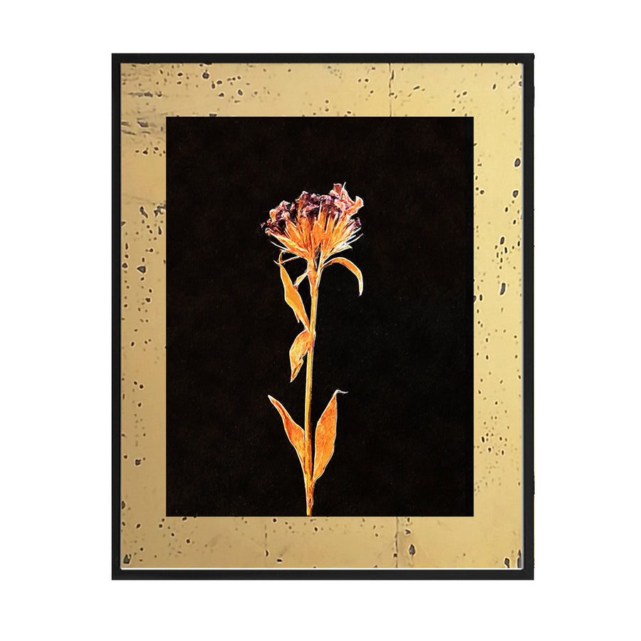 Cuadro Flores secas_A