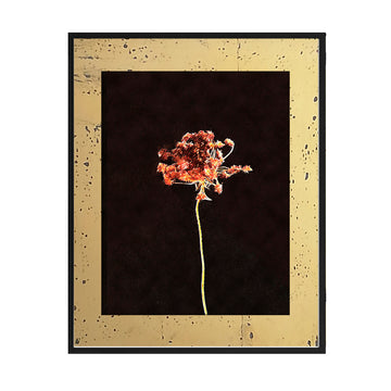 Cuadro Flores secas_B