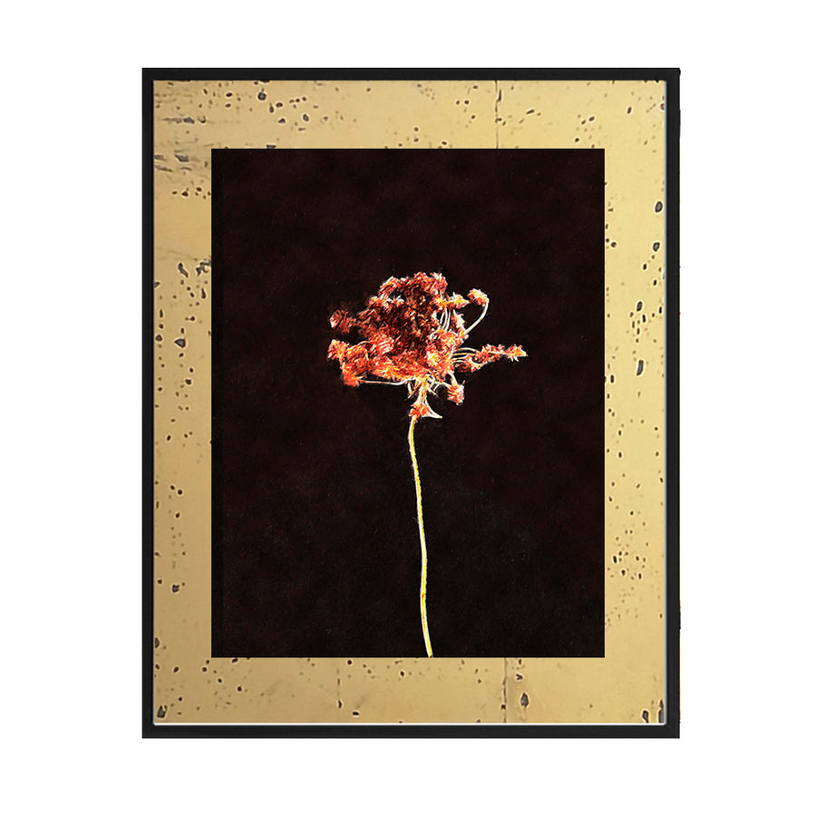 Cuadro Flores secas_B