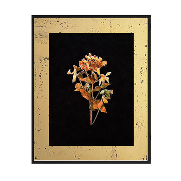 Cuadro Flores secas_C