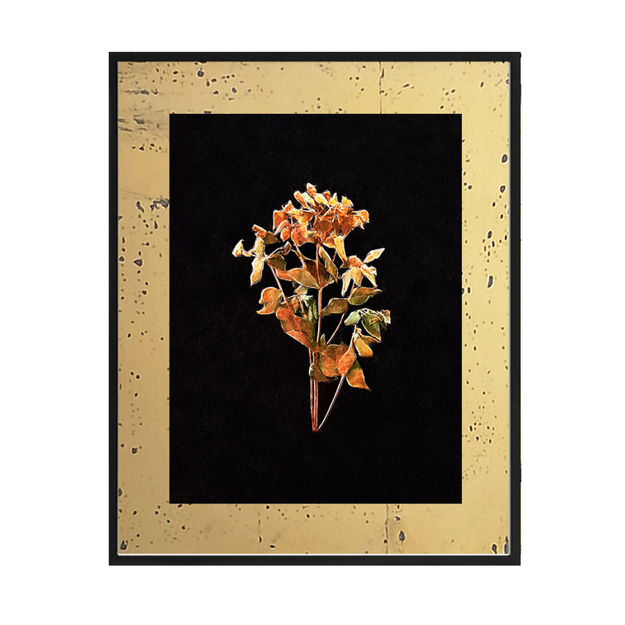 Cuadro Flores secas_C