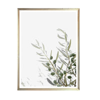 Cuadro Serie Botánicas Neutras_D