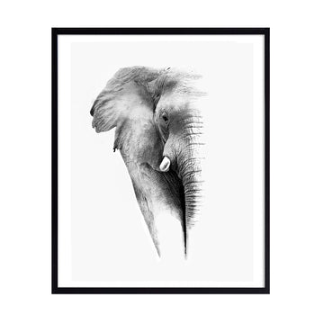 Cuadro Foto Elefante N°1