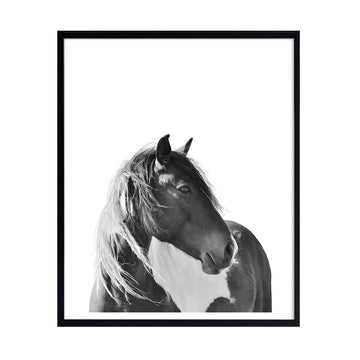 Cuadro Foto Caballo N°1