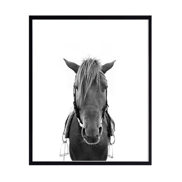 Cuadro Foto Caballo N°2