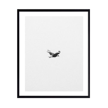 Cuadro Foto Aves al vuelo N°2