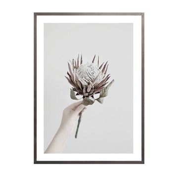 Cuadro Fotografía Protea  B