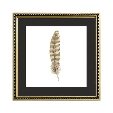 Cuadro Pluma Acuarela_B