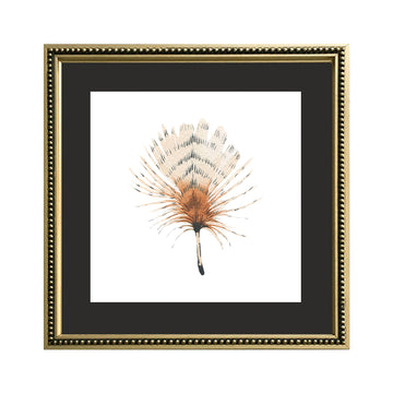 Cuadro Pluma Acuarela_C