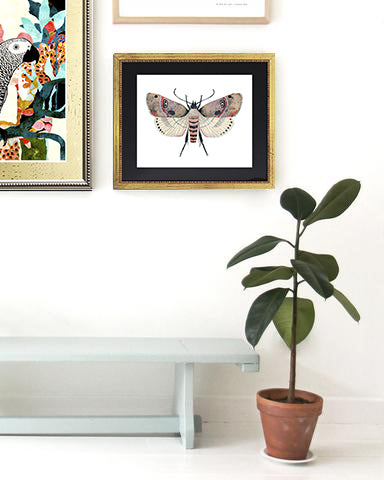 Cuadro Mariposas Acuarela Rosa
