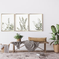 Cuadro Serie Botánicas Neutras_D